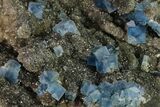 Blue-Green Cubic Fluorite on Smoky Quartz - China #146650-1